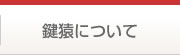 鍵猿について